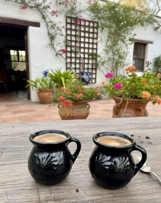 Taza de Engobe talavera Style