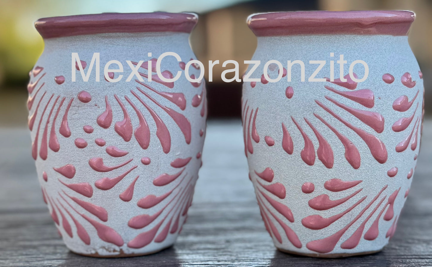 Concha Jarritos Set